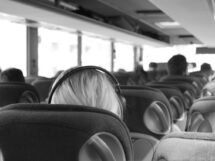 buses
