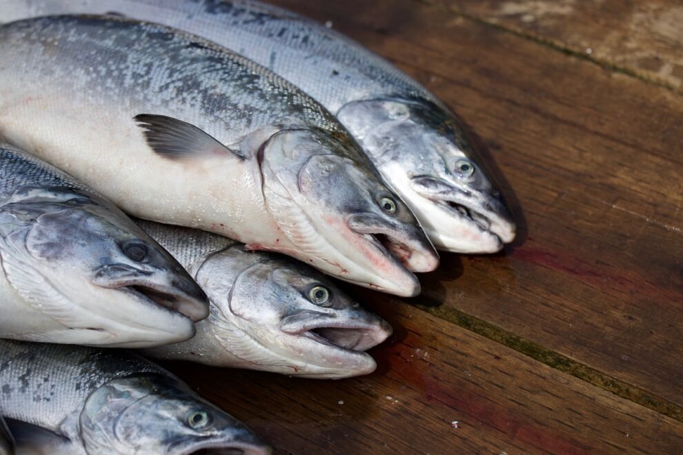 La escalada en los robos de salmones no solo ha llevado a un incremento en la demanda de soluciones tecnológicas avanzadas