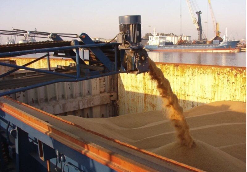 BIMCO prevé desequilibrio en el mercado de graneles hasta 2026