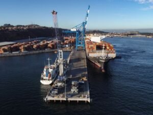 Puertos del Biobío movieron más de 309 millones de toneladas entre 2015 y 2024