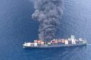 World Shipping Council presenta nuevo programa para prevenir incendios por carga en buques